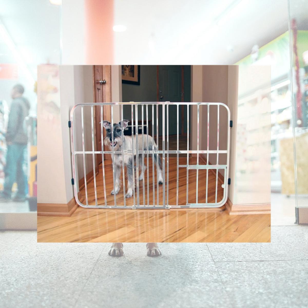 Picture of Carlson 0624DS Step Over Expandable Metal Pet Gate- Beige