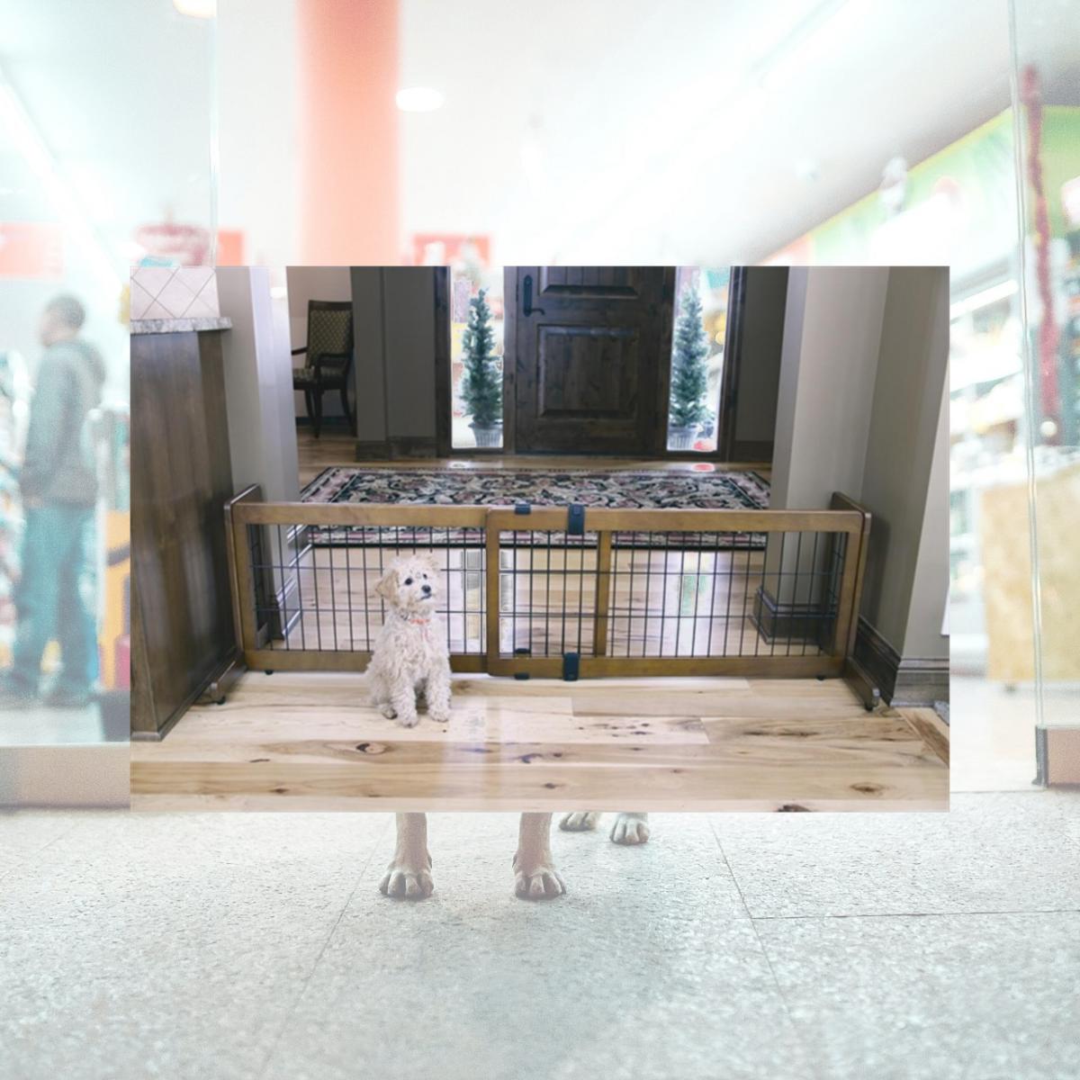 Picture of Carlson 2070DS 2-in-1 Wood Freestanding Pet Gate