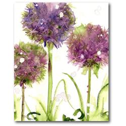 30 x 40 in. Alliums Gallery-Wrapped Canvas Wall Art