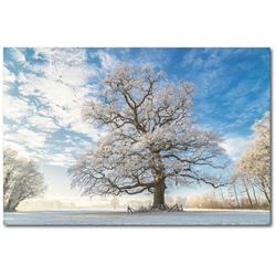 24 x 36 in. Cold Oak Gallery-Wrapped Canvas Wall Art