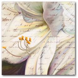 30 x 30 in. Lily Script I Gallery-Wrapped Canvas Wall Art