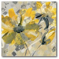 30 x 30 in. Buttercup I Gallery-Wrapped Canvas Wall Art