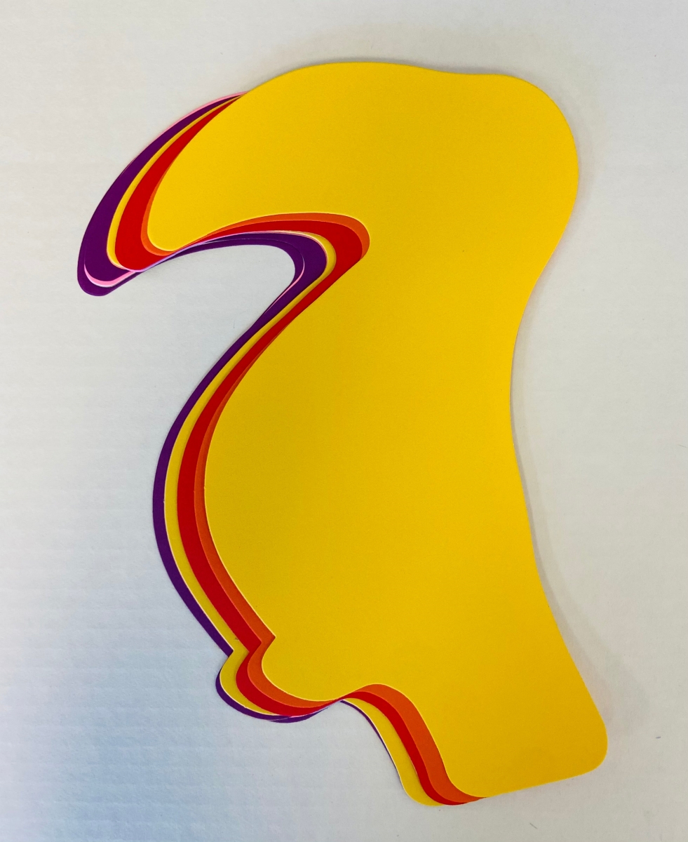 SE-9931 8 x 10 in. Toucan Super Cut-Outs, Assorted Color