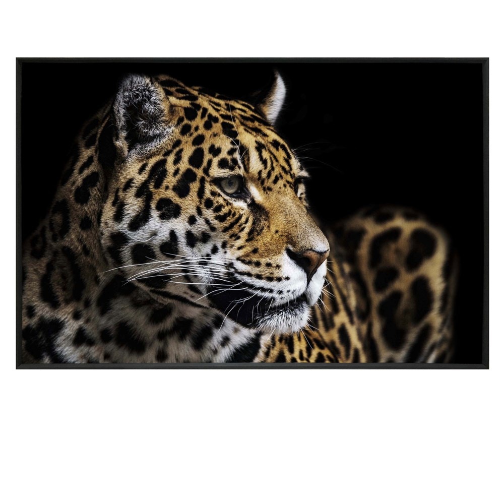 CVTOP3070 48 in. Jag Canvas Art, Black