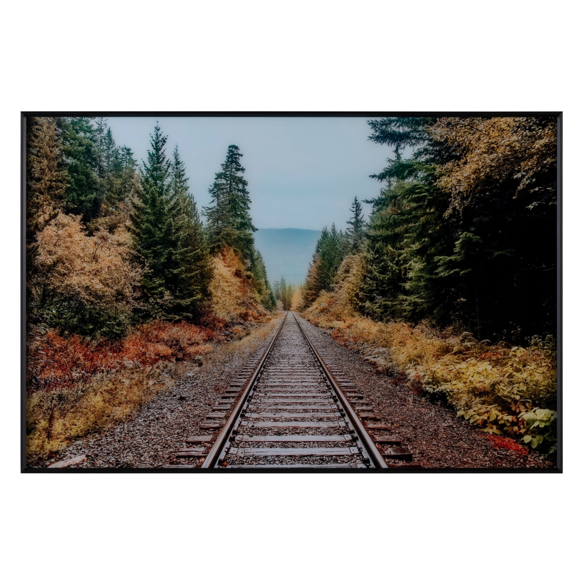 CVTOP3278 32 in. Autumn Tracks Canvas Art, Brown & Green