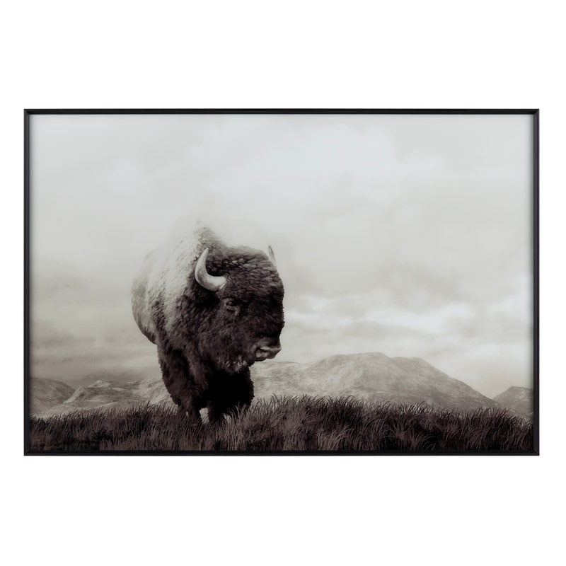 CVTOP3315 48 in. Bison Life Canvas Art, Grey & White