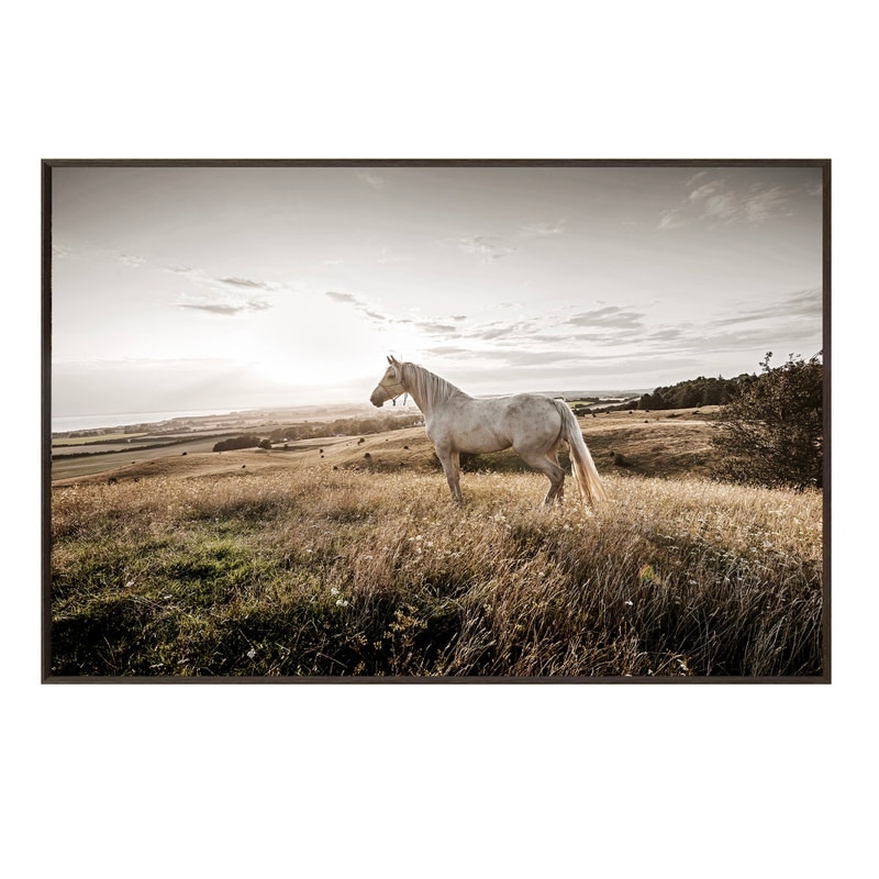 CVTOP3339 48 in. Colbert Canvas Art, Brown & Natural