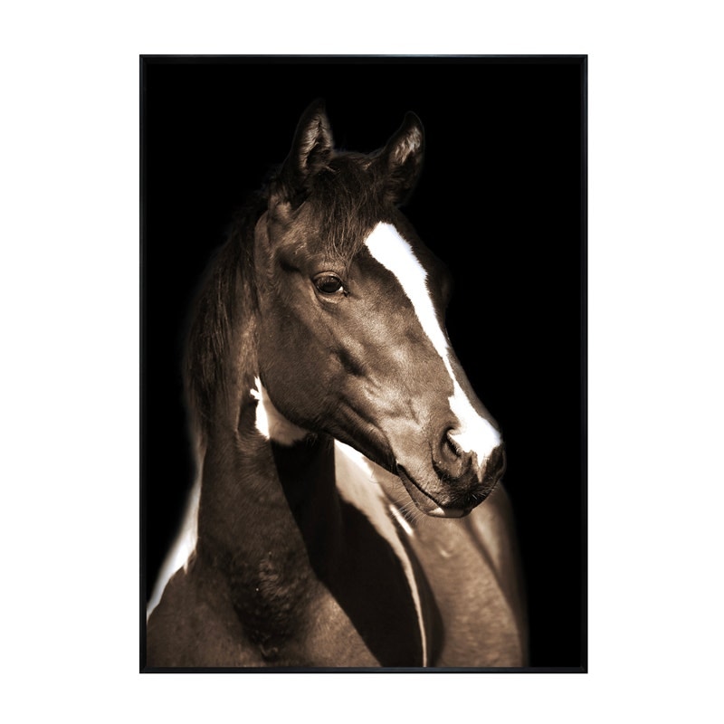 CVTOP3340 32 in. Fayette 1 Canvas Art, Brown & Black
