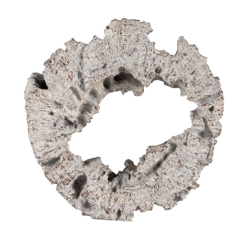 Crestview CVTWA1502WHITE White Washed Resin Painted Tree Ring, White