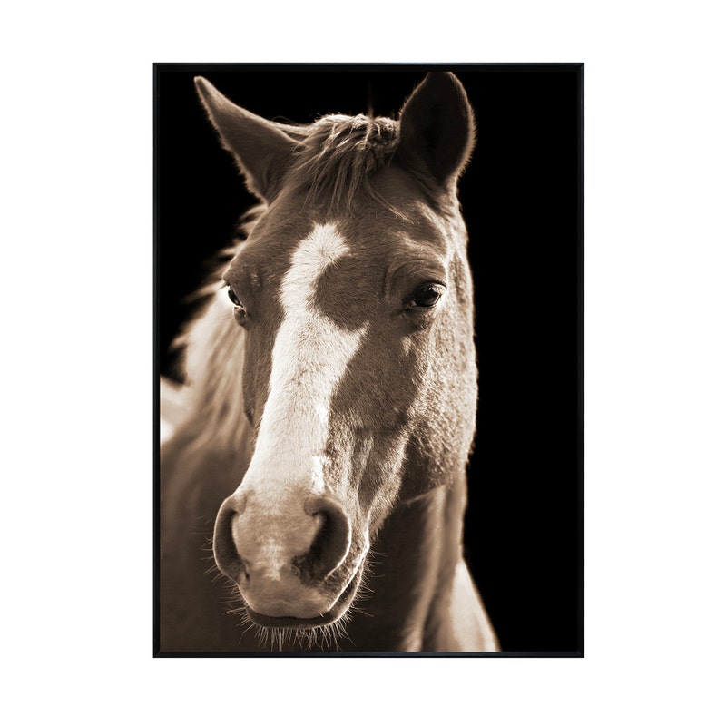 Crestview CVTOP3341 Fayette 2 Wall Art, Brown & Black