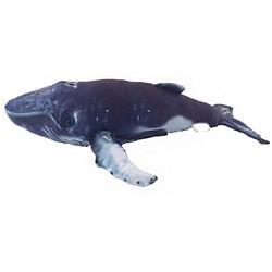 Picture of Texas Toy Distribution S-1023A Plush Humpback Whale Stuffed Animal