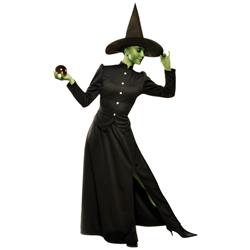 Picture of Costume Culture 86001-1 Womens Classic Witch Adult Costume&#44; Black - Small