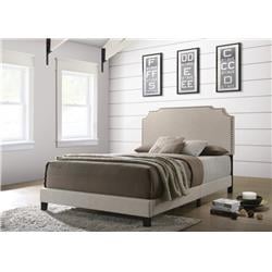 Coaster Furniture 310061Q Tamarac Upholstered Nailhead Queen Bed, Beige -  Cioaster Co of America