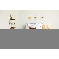 Picture of Coaster Furniture 350373KE Freya Pillow Top Eastern King Mattress&#44; White & Charcoal