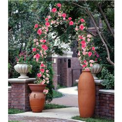GT3261 8 ft. 4 in. x 4 ft. 7 in. Gothic Steel Rose Arch, Black