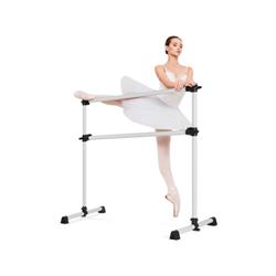 SP36956SL 4 ft. Portable Height Adjustable Freestanding Ballet Barre, Silver