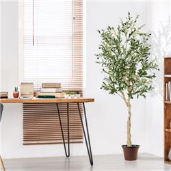 HZ10068-1 6 ft. Artificial Olive Tree in Cement Pot
