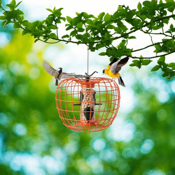 Picture of Total Tactic GT4160 Squirrel-Proof Pumpkin Bird Feeder with Cage & 4 Metal Ports