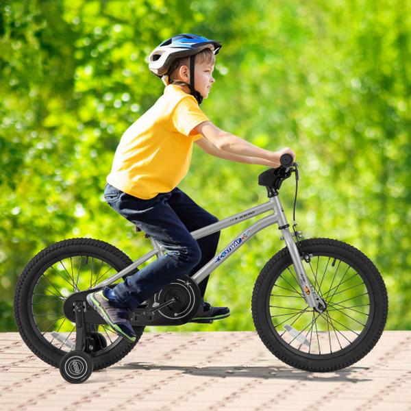 TS10165SL-18 18 in. Kids Bike Bicycle with High Carbon Steel Frame for Boys Girls 4-8 - Silver