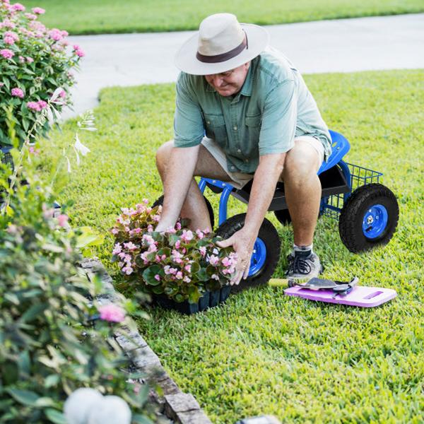 GT3449BL Garden Cart with Heavy Duty Tool Tray - Blue