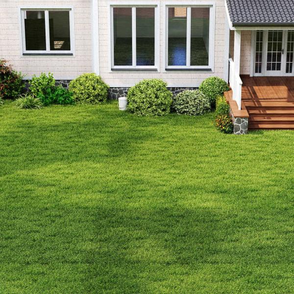 GT4305-L Green Indoor Outdoor Synthetic Turf Mat with Drainage Holes - Extra Large