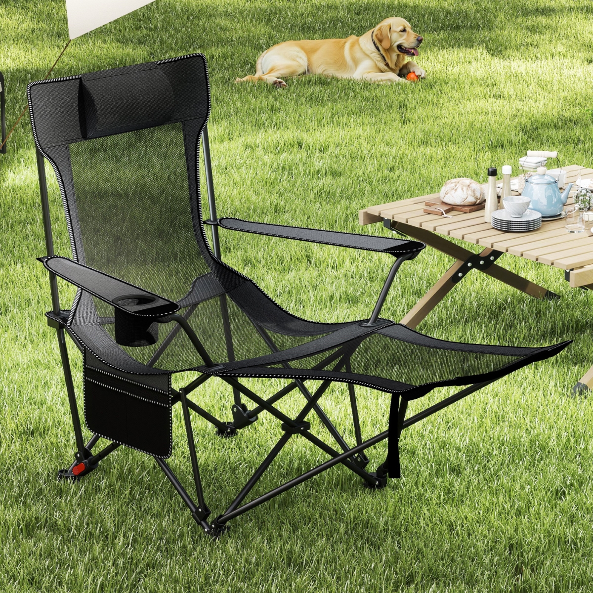 NP12446HS Reclining Camping Chair with Removable Footrest & Adjustable Backrest - Gray