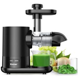 Picture of Total Tactic ES10002US-DK Horizontal Slow Masticating Extractor Juicer with Brush&#44; Black