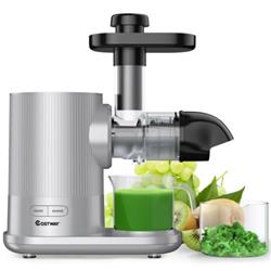 Picture of Total Tactic ES10002US-SR Horizontal Slow Masticating Extractor Juicer with Brush&#44; Silver