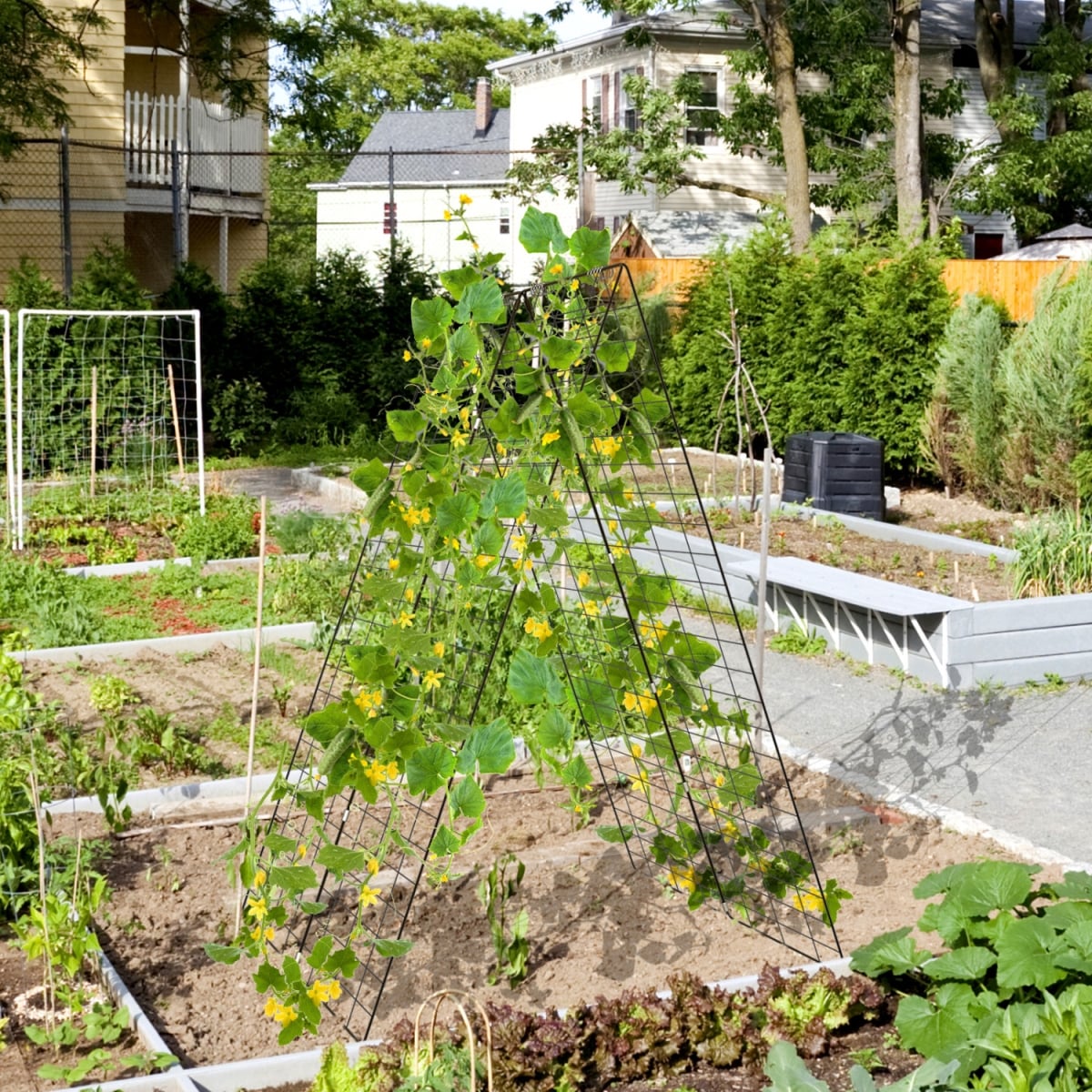 NP11831GN-1 A-Frame Garden Trellis for Climbing Plant with Ground Stake & Cable Tie - Green