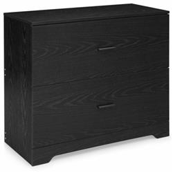 HW66706 2 Drawer Lateral File Cabinet with Adjustable Bars for Home & Office