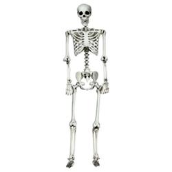 AP2114 5.4 ft. Halloween Skeleton Life Size Realistic Full Body Hanging