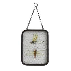 Picture of Creative Brands AMR887 8 x 11 in. Glass & Metal Dragonfly Frame
