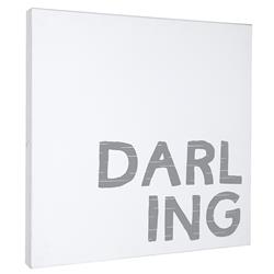 Picture of Creative Brands J1693 24 x 24 in. Face To Face Case Board - Darling