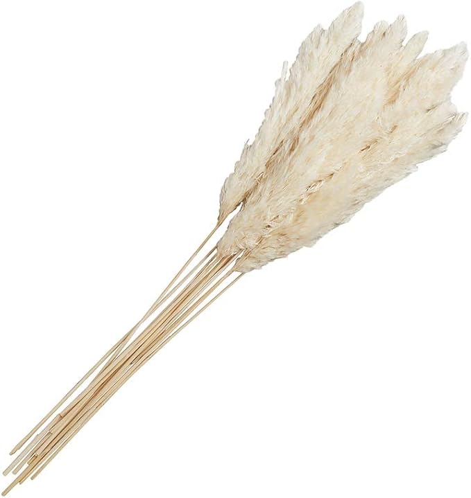 Picture of 47th & Main CMR999 Natural Thin Pampas Grass