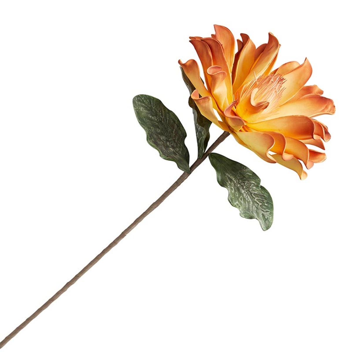 Picture of 47th & Main CMR419 40 in. 35 Flower Stem