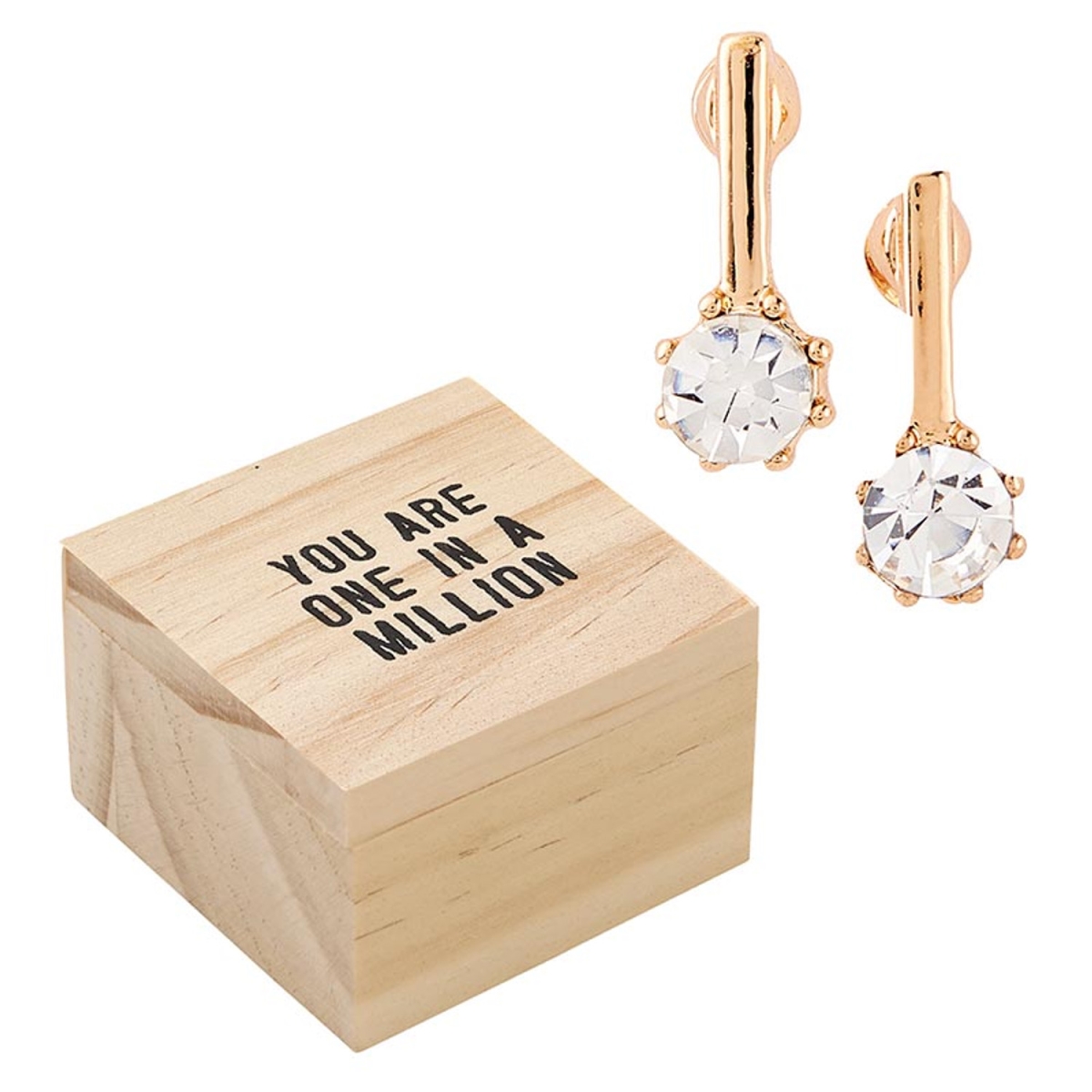 P0159 Earring Treasure Box - You Are One in a Million