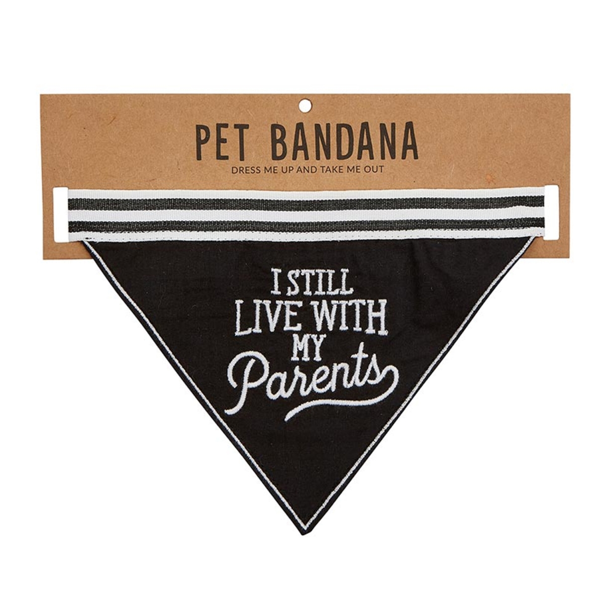 Picture of Santa Barbara Design Studio G5573 Pet Bandana&#44; I Still Live with My Parents
