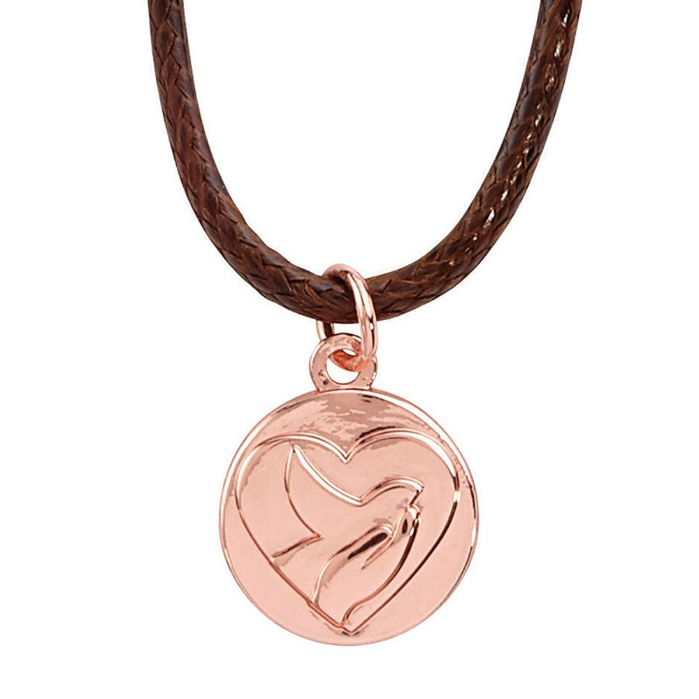Picture of Christian Brands D2279 Confirmation Blessings Dove Necklace