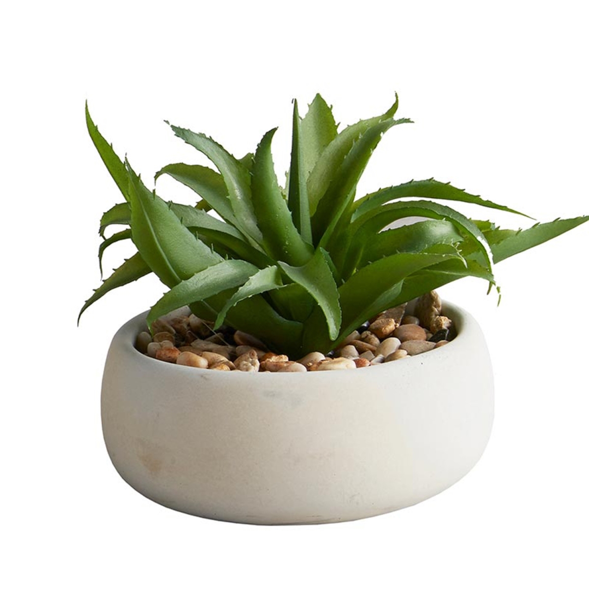 Picture of 47th & Main BMR274 5 x 5 in. Aloe Succulent Gray Pot Plant