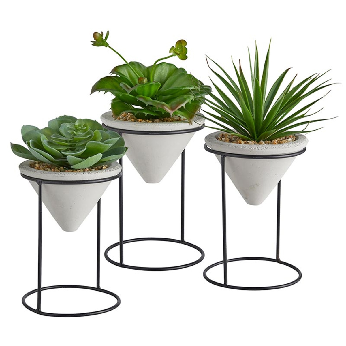 Picture of 47th & Main CMR087 4 x 10 in. Plants with Iron Stand&#44; Set of 3