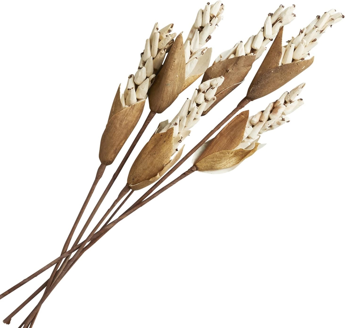 Picture of 47th & Main CMR133 Shola Pinocole Leaf Stick - 6 Piece