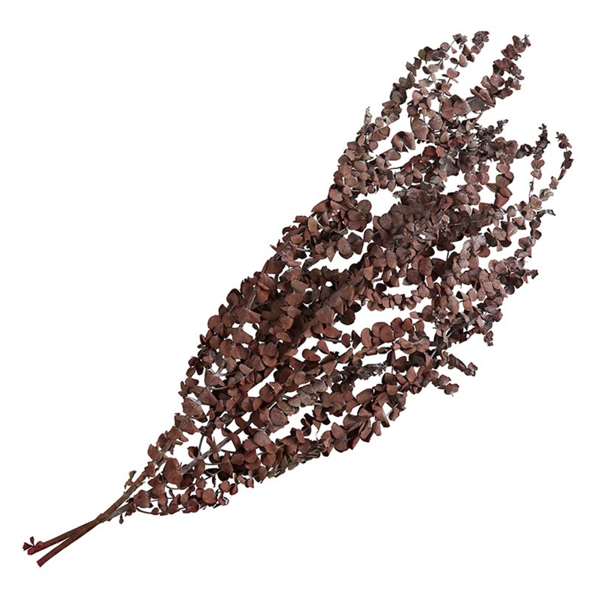 Picture of 47th & Main CMR941 36 in. Red Eucalyptus Bunch