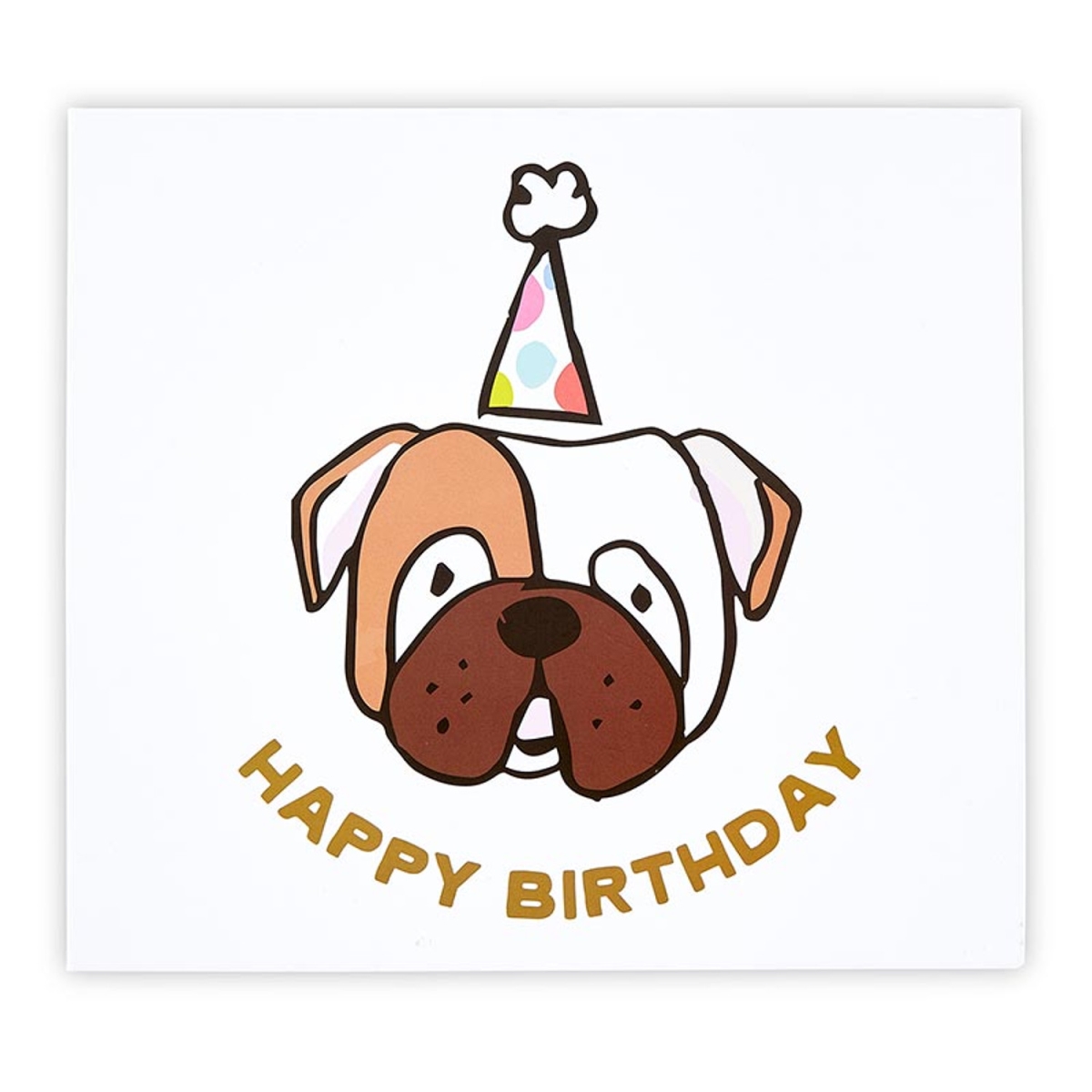 Picture of Slant 10-05580-764 Pet Birthday Kit - Happy Birthday Dog