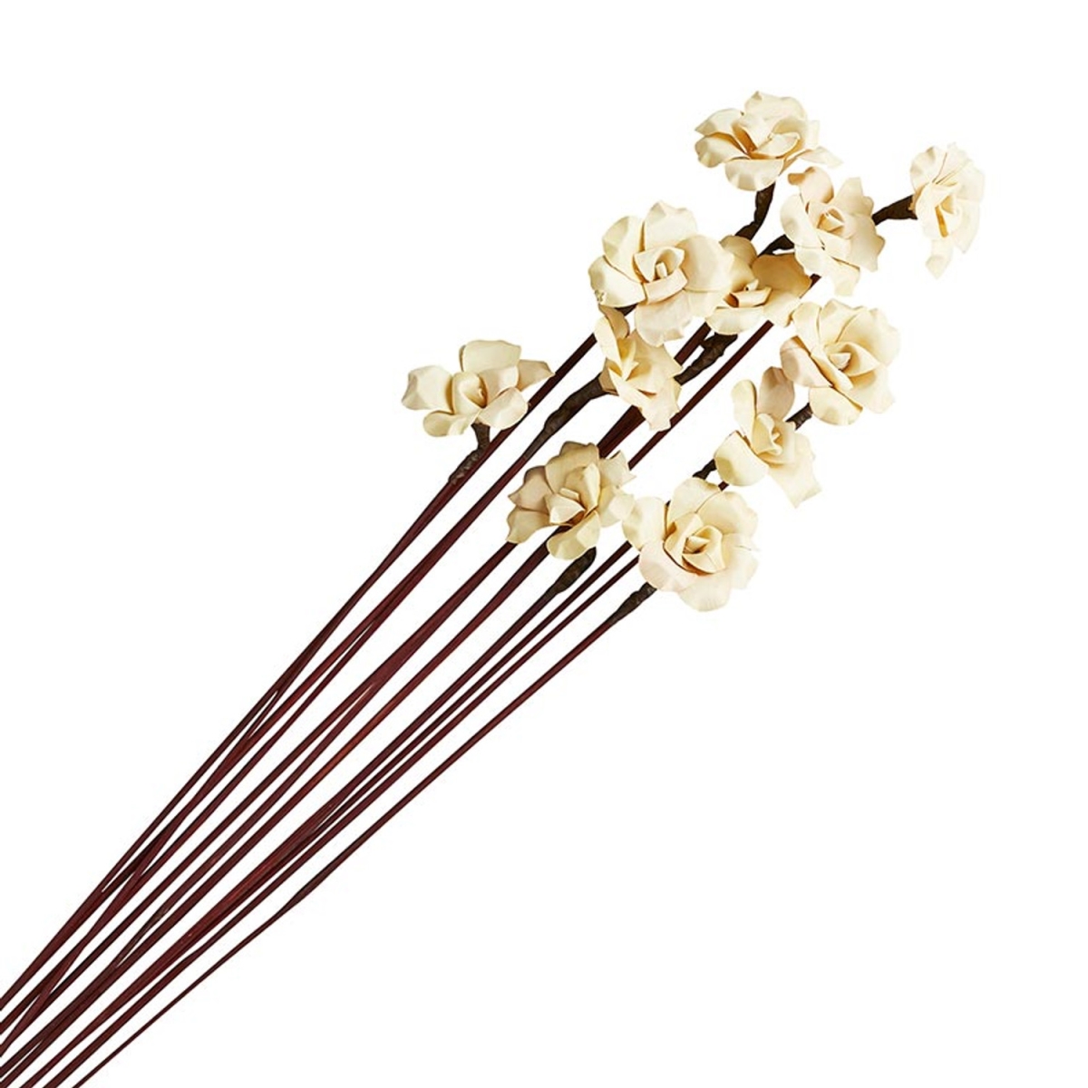 Picture of 47th & Main CMR117 4 x 25 in. Palm Rose&#44; 12 Piece