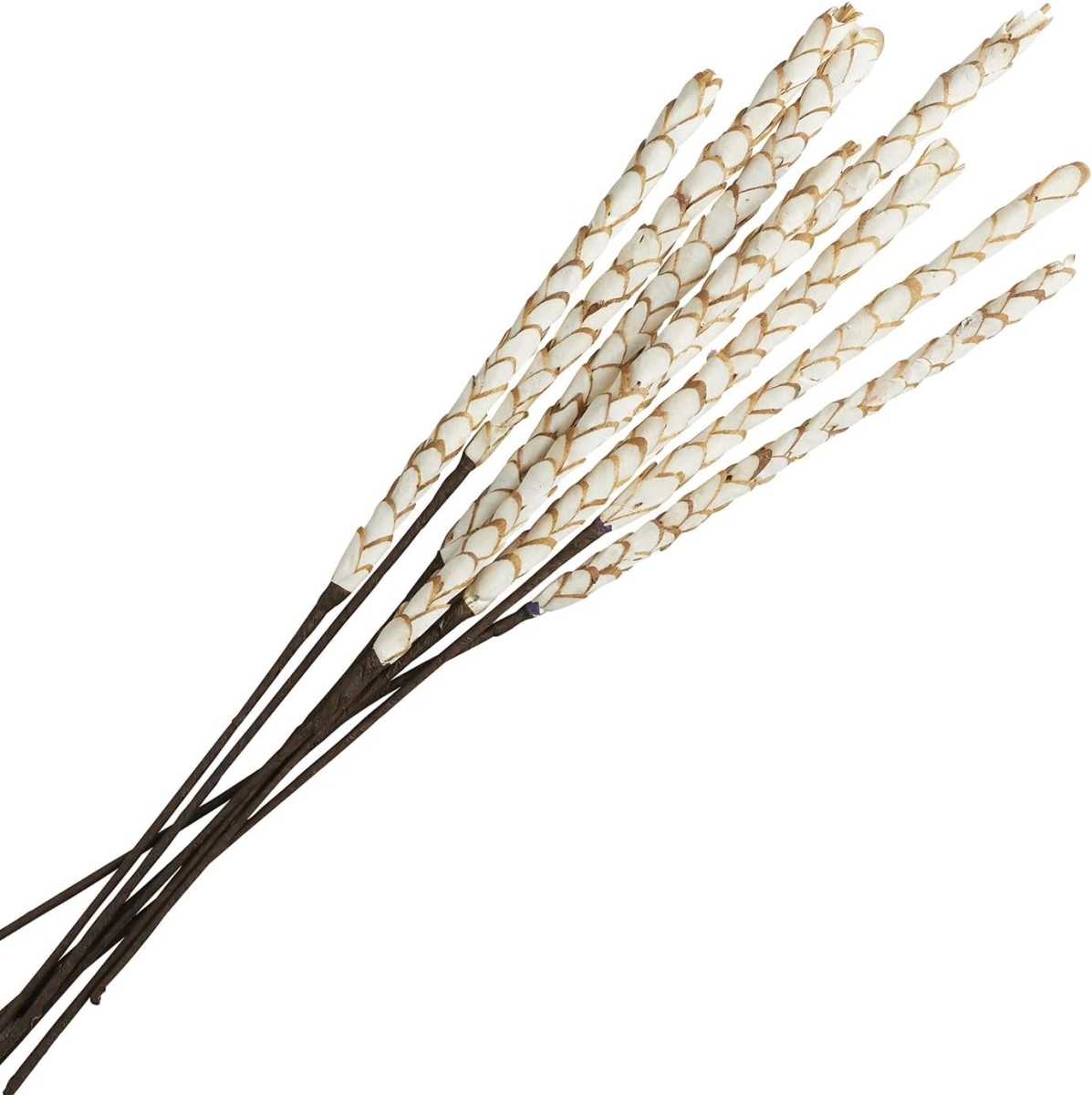 Picture of 47th & Main CMR134 Sola Duke Flower Stick - 12 Piece