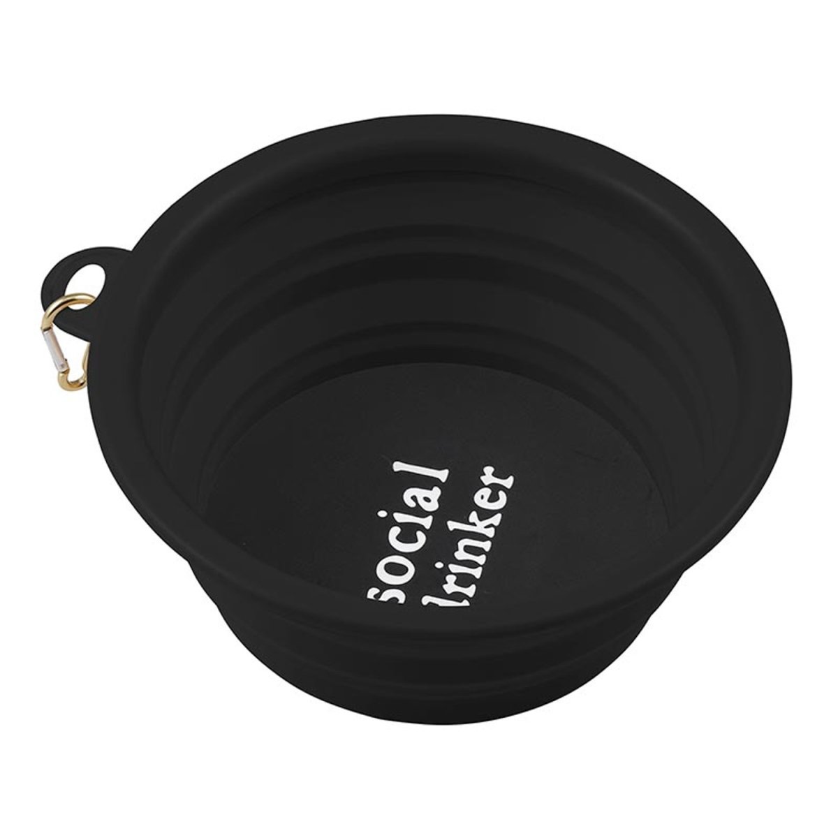 Picture of Santa Barbara Design Studio N0608 Large Collapsible Pet Bowl&#44; Social