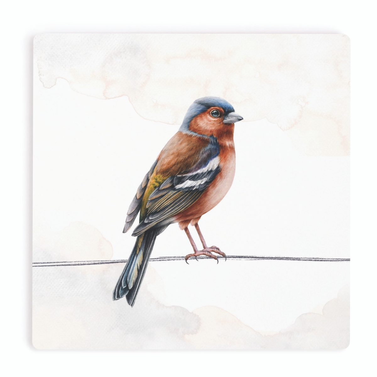 COA2068 4 x 4 in. Oriole Ceramic Coaster