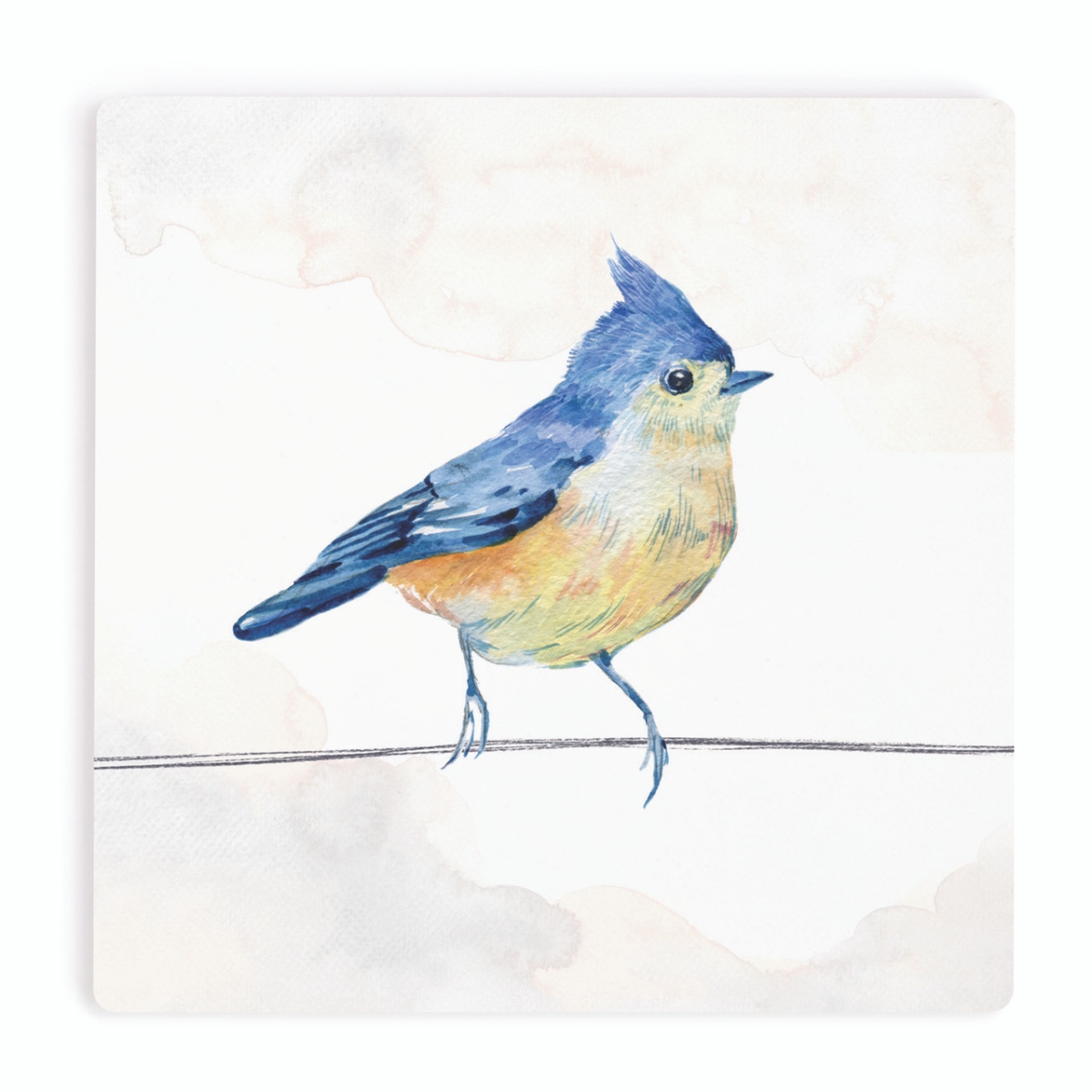 COA2070 4 x 4 in. Blue Jay Ceramic Coaster