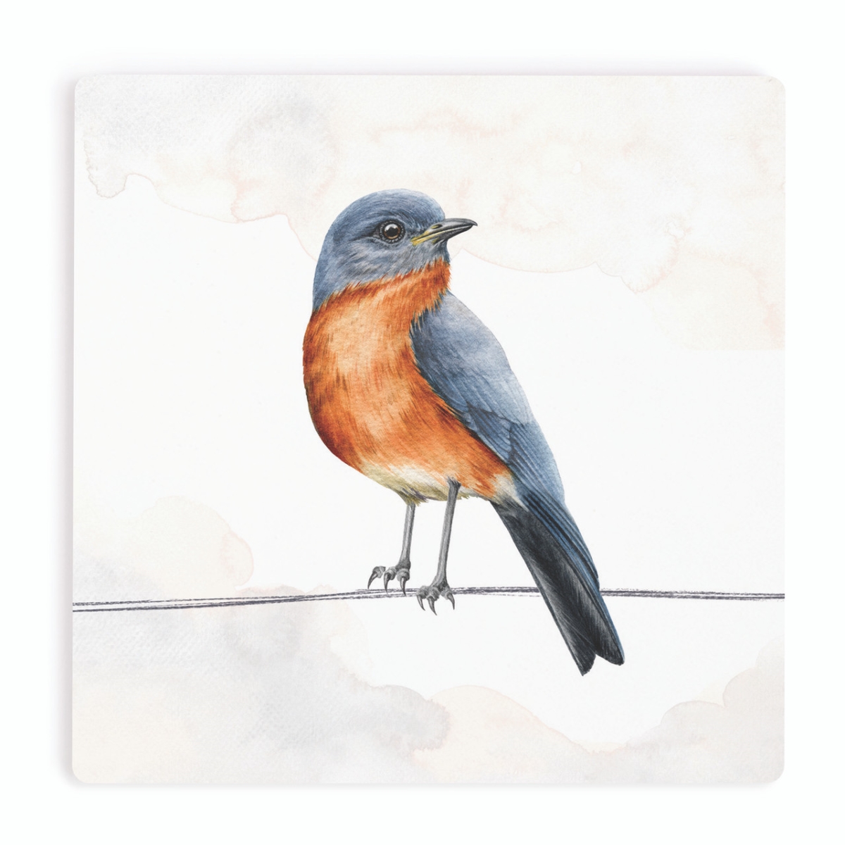COA2066 4 x 4 in. Robin Ceramic Coaster