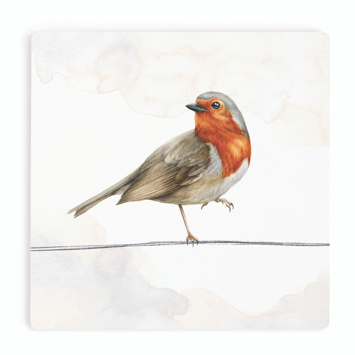 COA2073 4 x 4 in. Brown Headed Thrush Ceramic Coaster